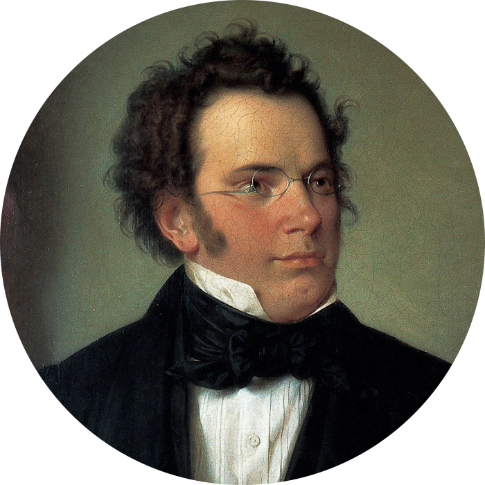 Partitions Schubert